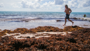 Florida man running along a shallow beach