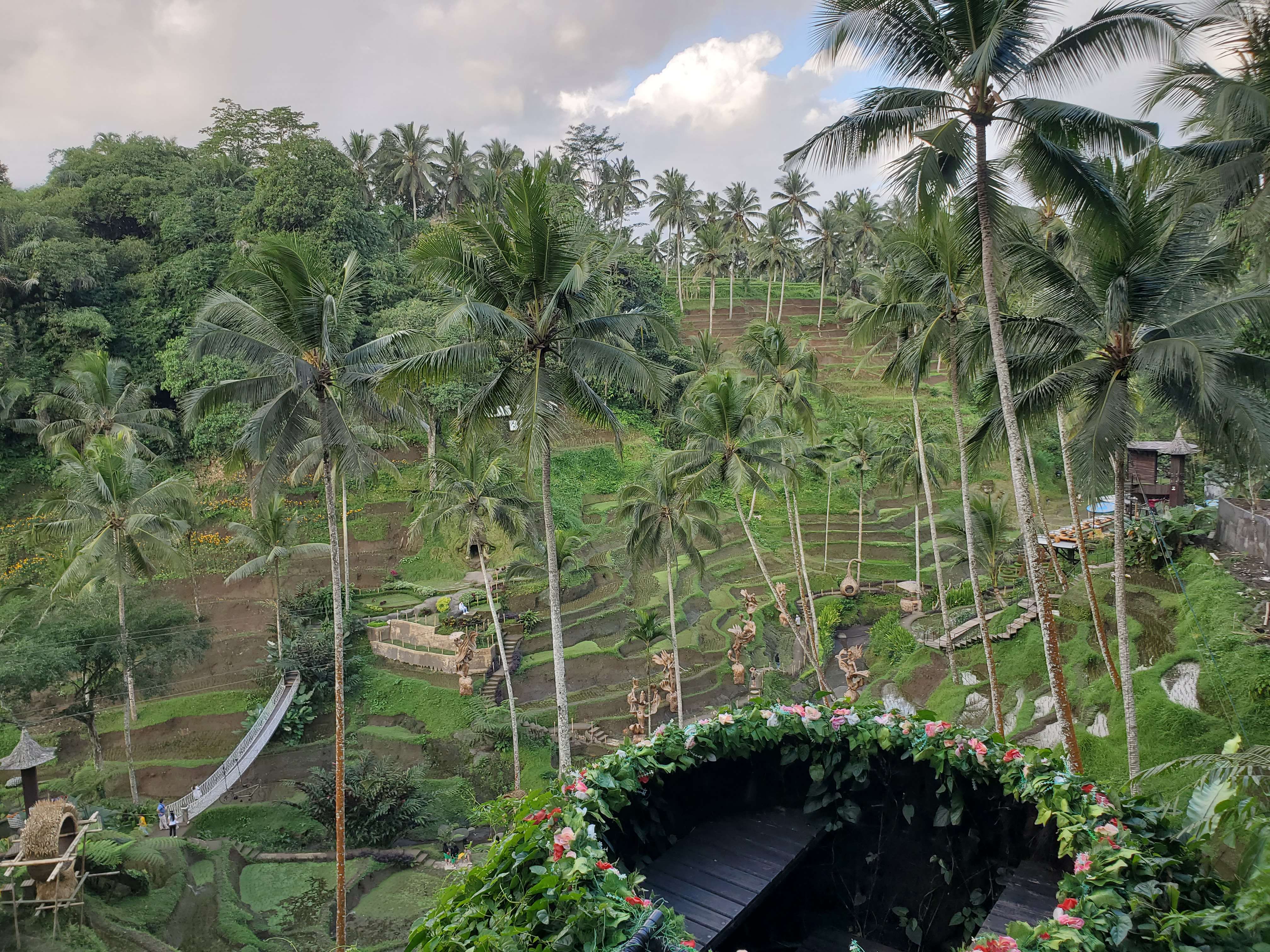 Rice paddy valley.